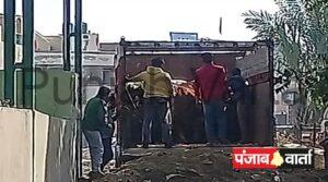 Read more about the article नगर निगम अबोहर में से 200 के करीब बेसहारा पशुओं को गौशालाओं में भेजा