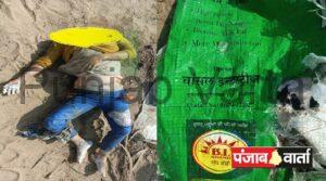 Read more about the article श्रीगंगानगर जिले के पदमपुर की 6ईई नहर से मिला महिला का सिर कटा शव